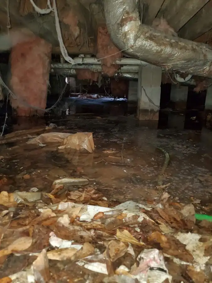 Crawl space flood assessment for Commercial Water Damage Restoration in Ettrick