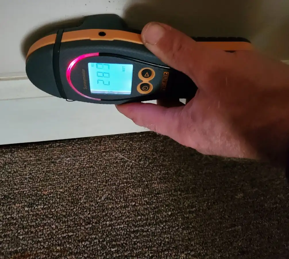 Moisture detection at baseboard during Sewage Cleanup & Sanitation in Ettrick